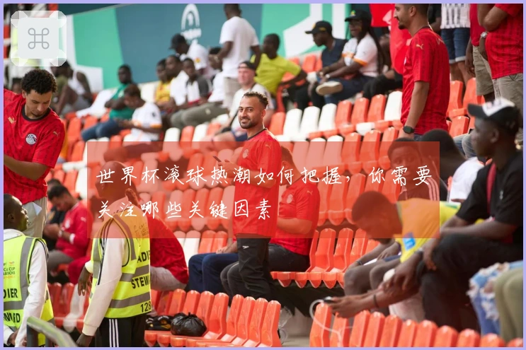 世界杯滚球热潮如何把握，你需要关注哪些关键因素