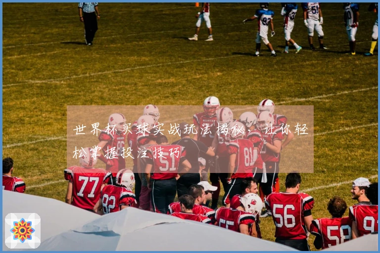 世界杯买球实战玩法揭秘，让你轻松掌握投注技巧