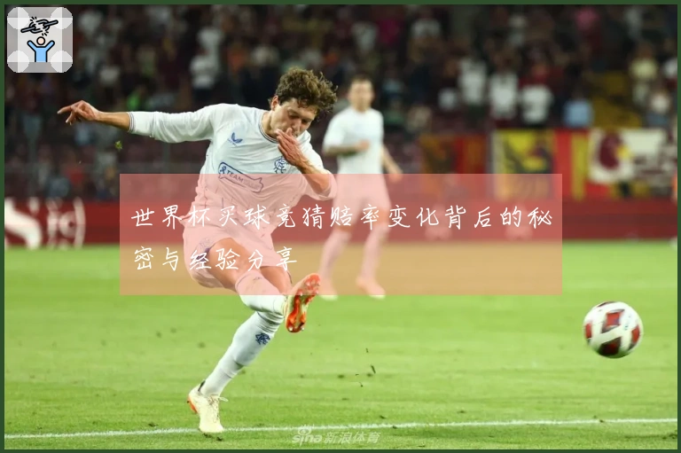 世界杯买球竞猜赔率变化背后的秘密与经验分享