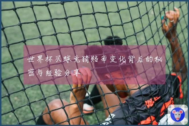 世界杯买球竞猜赔率变化背后的秘密与经验分享